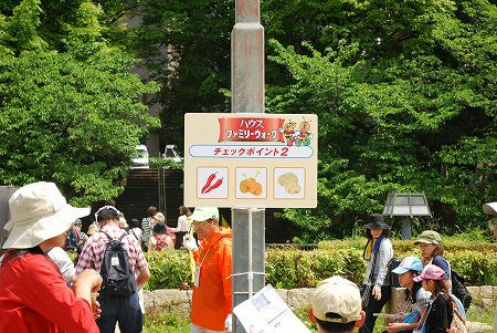 ハウスファミリーウォーク大阪城公園大会へ行ってきました。
