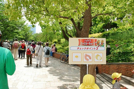 ハウスファミリーウォーク大阪城公園大会へ行ってきました。