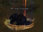 リンクにご注意