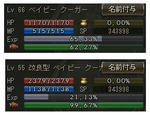 クーガーの進化-02