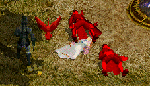 12014.gif