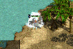 030401.gif