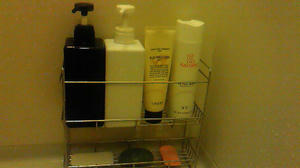 201008082227000.jpg