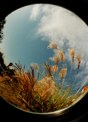 6e45d80f.jpg