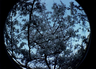583e2915.jpg