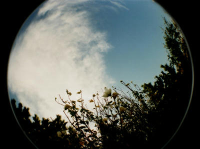 60c91a62.jpg