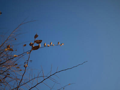 sky.jpg