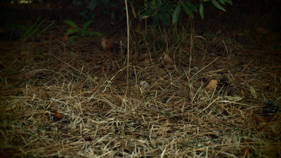 02P1201041.jpg