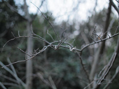 20100120_34.jpg