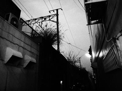 20100120_74.jpg