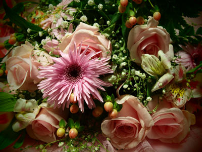715f986e.jpg