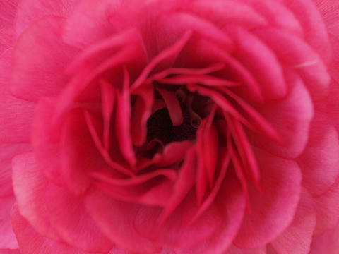 20100225_96.JPG