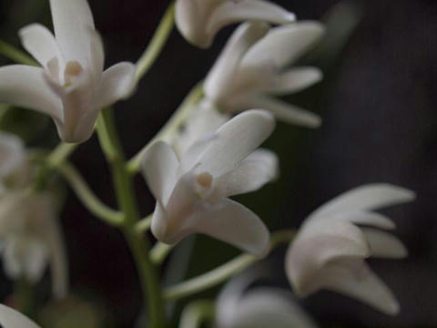 20100225_124.JPG