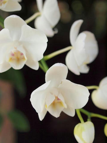 20100225_106.JPG