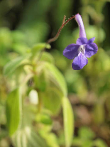 20100225_118.JPG