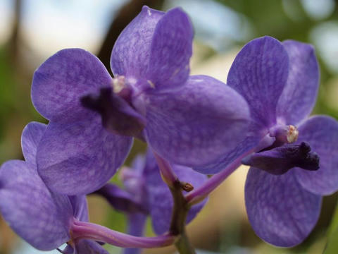 20100225_120.JPG
