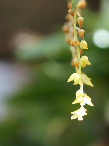 20100225_112.JPG