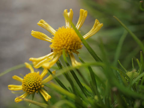 20100225_266.JPG
