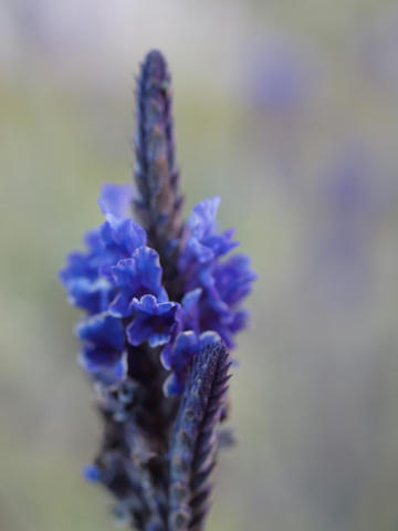 20100224_04.JPG