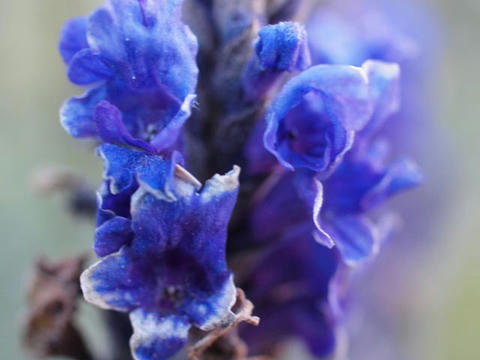 20100224_52.JPG
