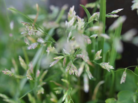 20100224_40.JPG