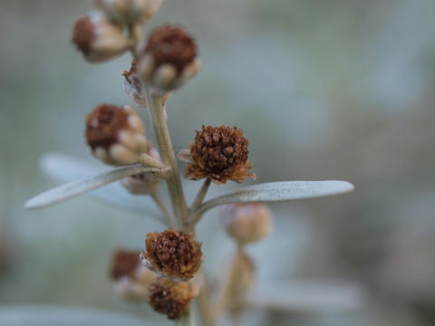 20100224_36.JPG