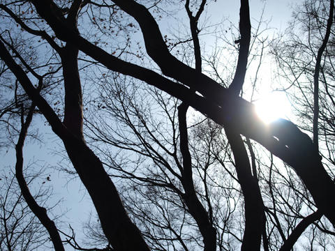 20100225_42.JPG