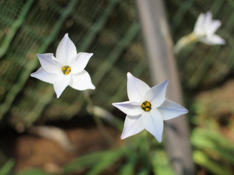 20100311_199.JPG