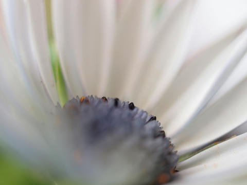 P3182529.JPG