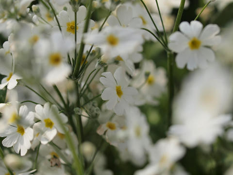 P3222690.JPG