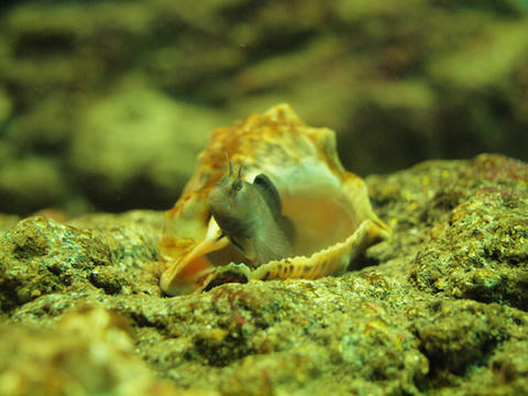 20100311_67.JPG