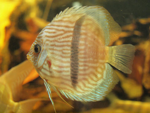 20100311_181.JPG