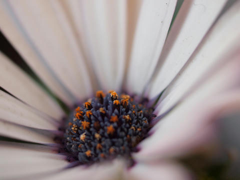 P3292753.JPG