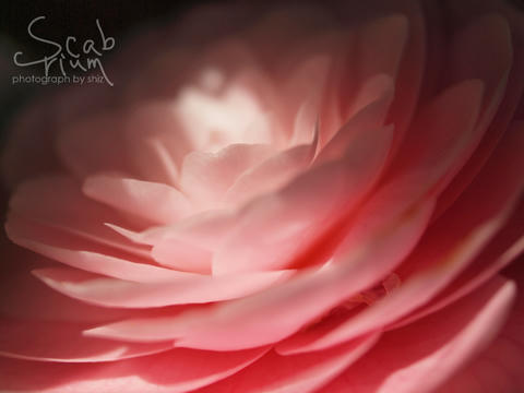 P4083303.JPG