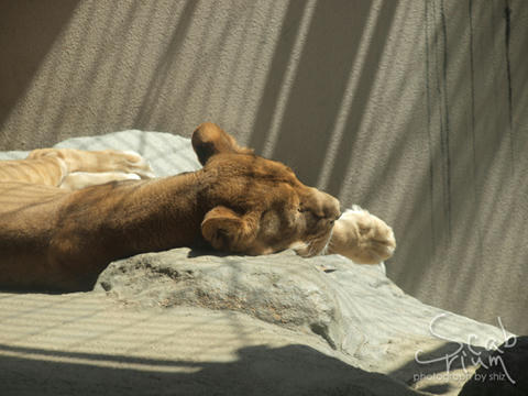 P4082958.JPG