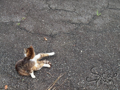 P6214120.JPG