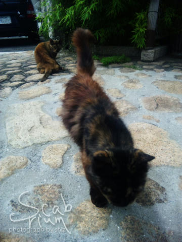 100706_103329.jpg