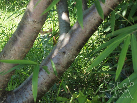 P7224300.JPG