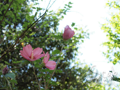 P7224304.JPG