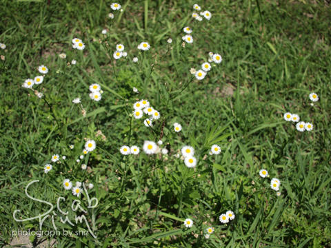 P7224305.JPG