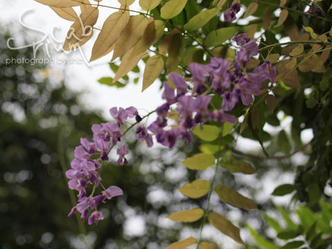 P7284329.JPG