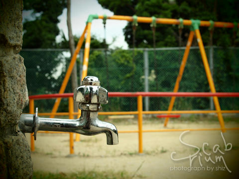 01P7284319.jpg