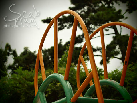03P7284324.jpg