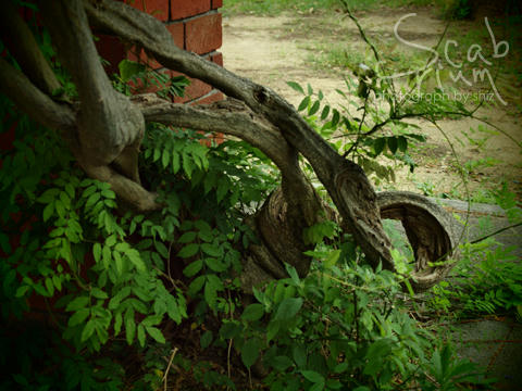 05P7284330.jpg
