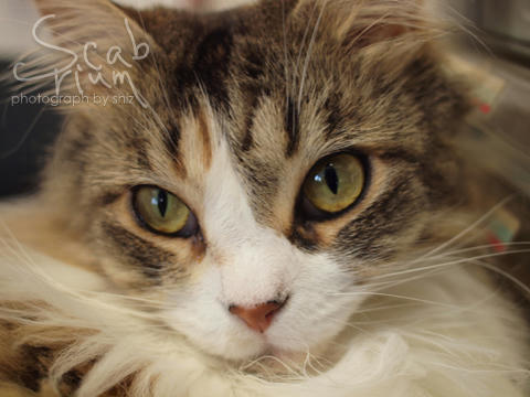 P8044341.JPG
