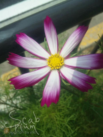 100730_103955.jpg