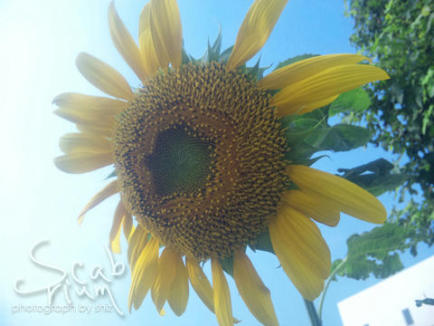 100731_083952.jpg
