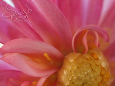 P9014540.JPG
