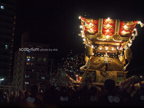 PA114785.JPG