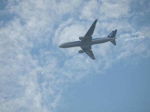 PA124796.JPG